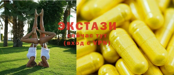 гашик Пересвет