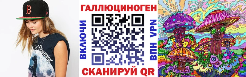 хочу наркоту  Заинск  Псилоцибиновые грибы мухоморы 