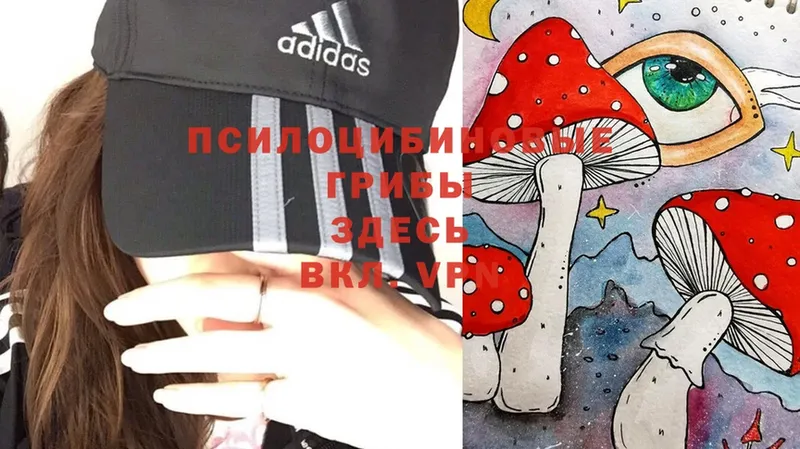 Галлюциногенные грибы MAGIC MUSHROOMS Заинск