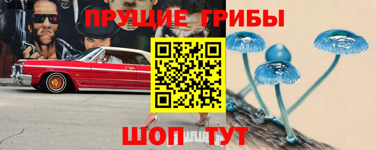 Галлюциногенные грибы Magic Shrooms Заинск