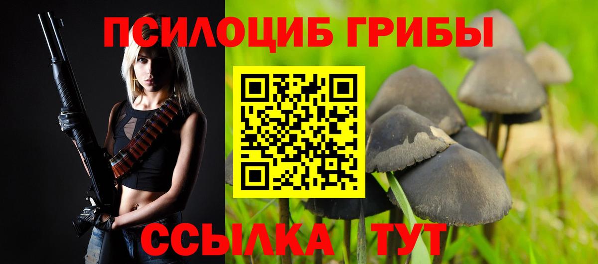 Заинск  Галлюциногенные грибы прущие грибы  Вход с VPN  Псилоцибиновые грибы Cubensis 